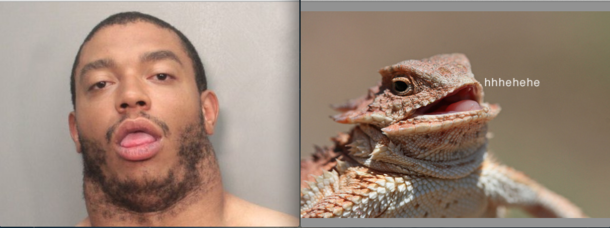 Saw this picture in an article of NFL players that were arrested in the offseason I could only picture this