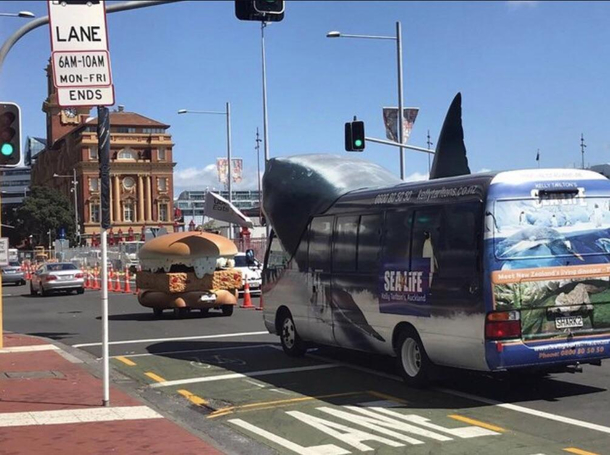 Saw this Posted on rnewzealand Shark bus chasing a fillet of fish bun van