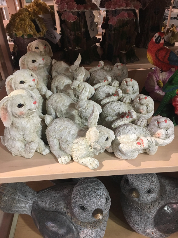 Saw this today at a Store Hilarious