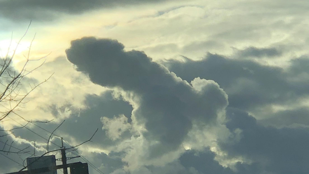 Say hi to penis cloud