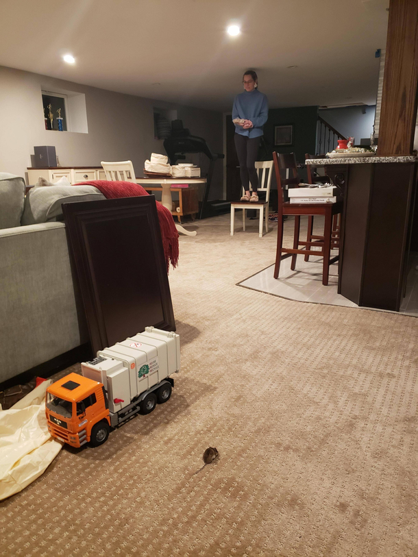 Scene from my basement tonight Thought this didnt happen in real life Couldnt resist interrupting the hunt to pull out my camera