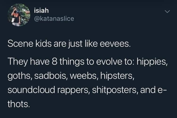 Scene kids are like eevee