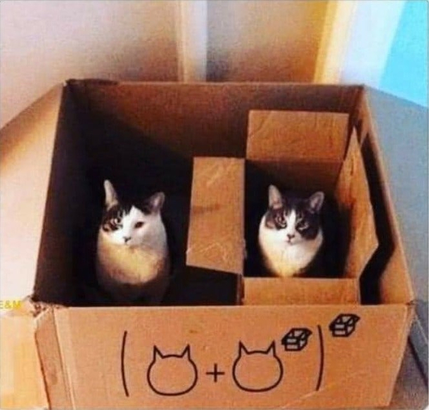 Schrdingers Matryoshka cat