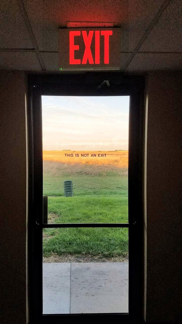 Schrodingers exit