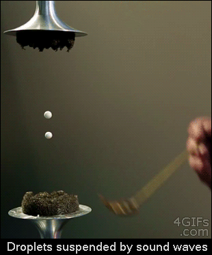 Science lt