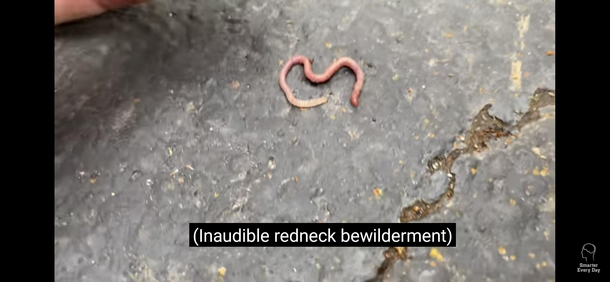 Scientific Subtitles in Alabama