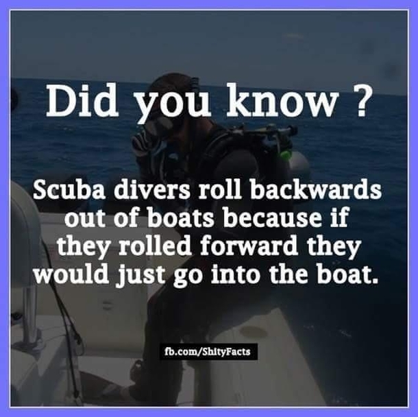 Scuba divers