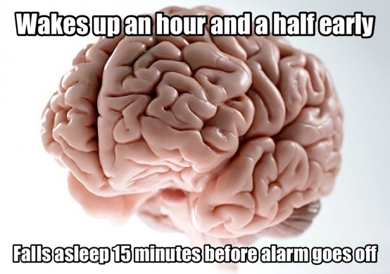 Scumbag brain at it again