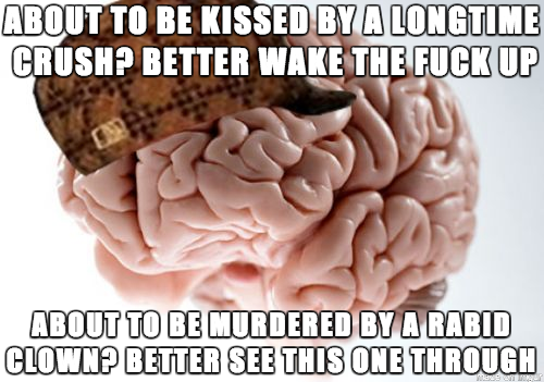 Scumbag Brain on Dreaming