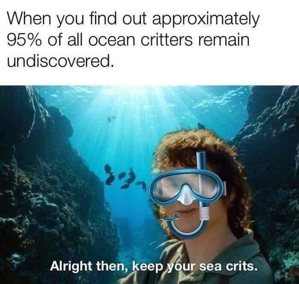 Sea crits