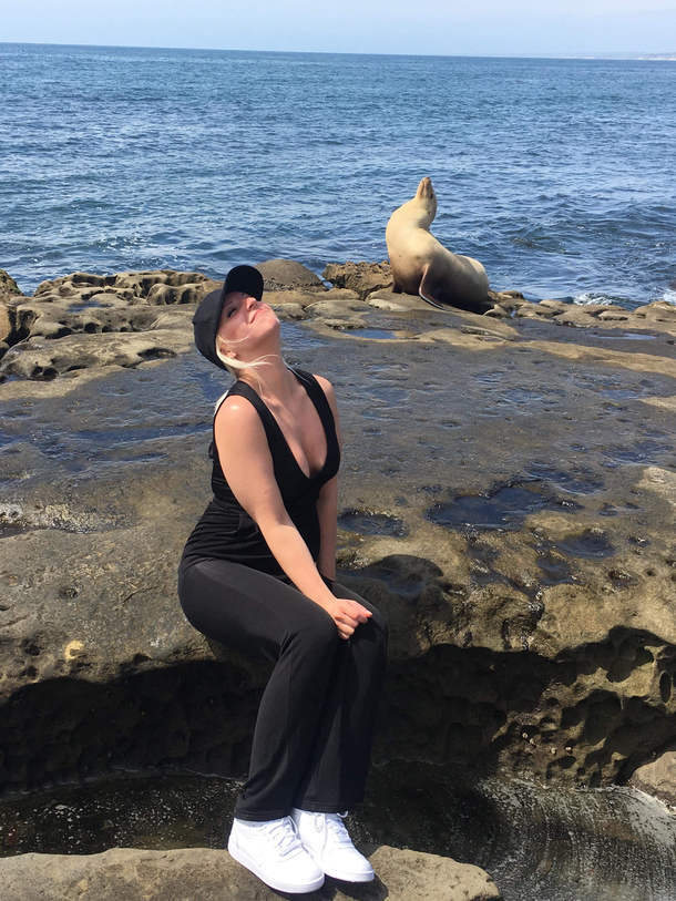 Sea lion