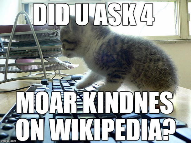 Search up LOLCATS on wikipedia