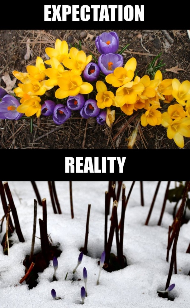 Second day of Spring