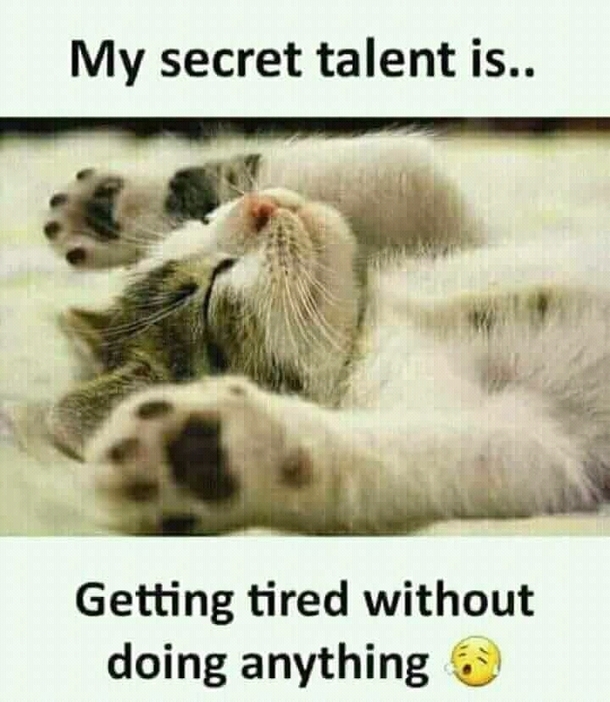 Secret talent