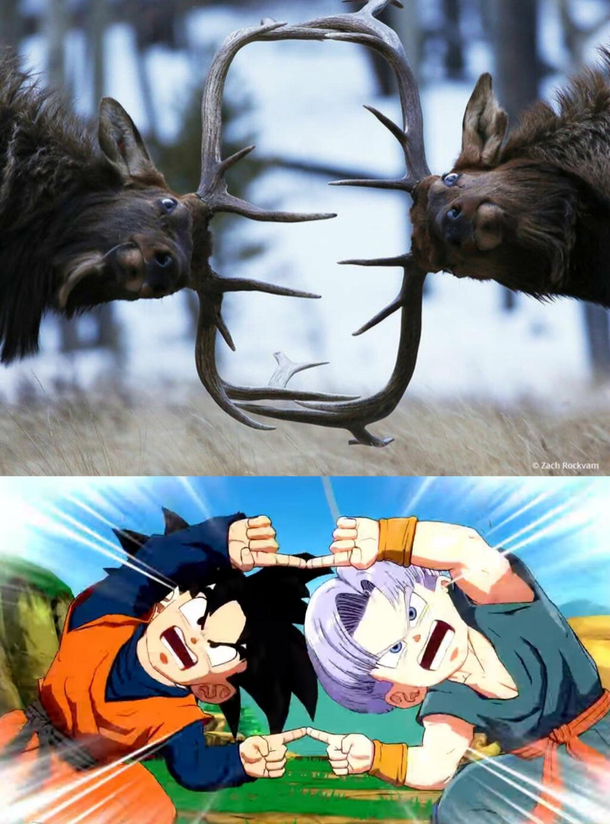See no difference