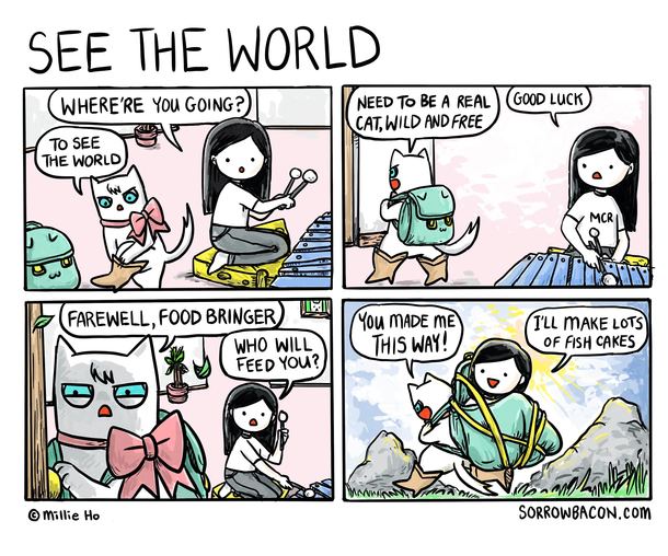 See the World