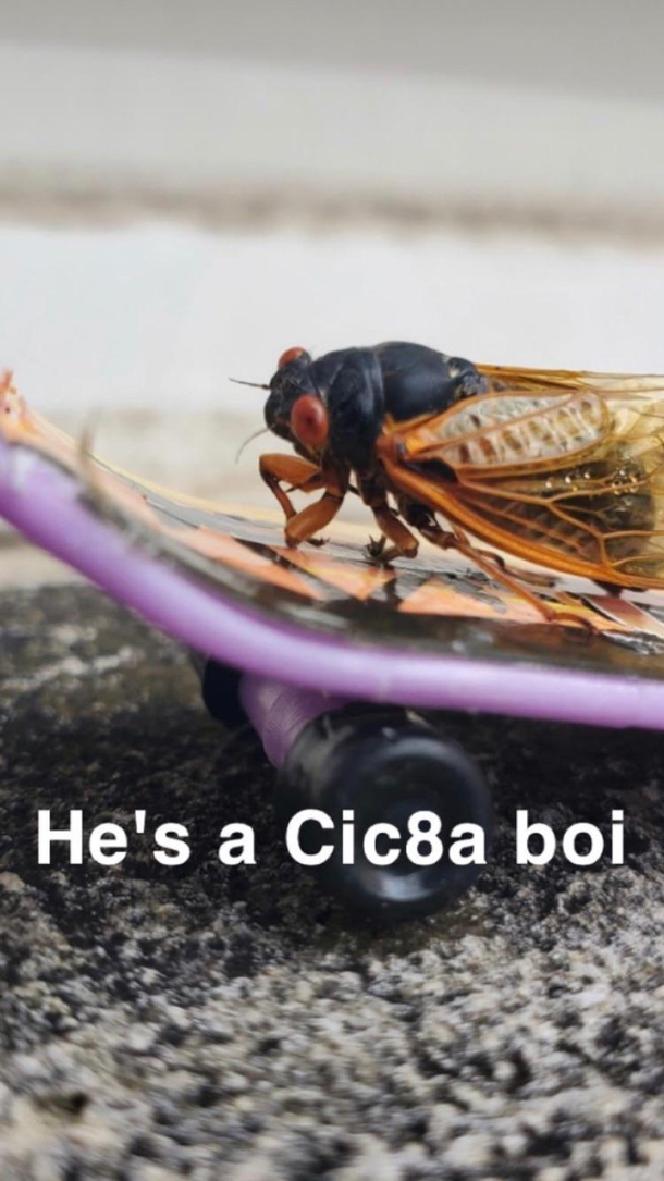 See you lter boi