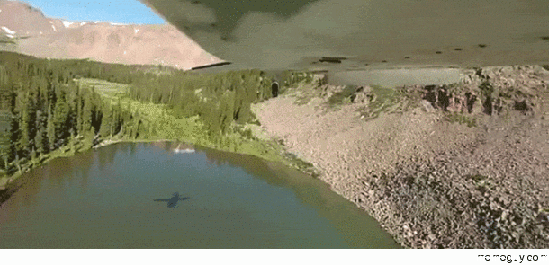Seeding a lake with fish from an airplane