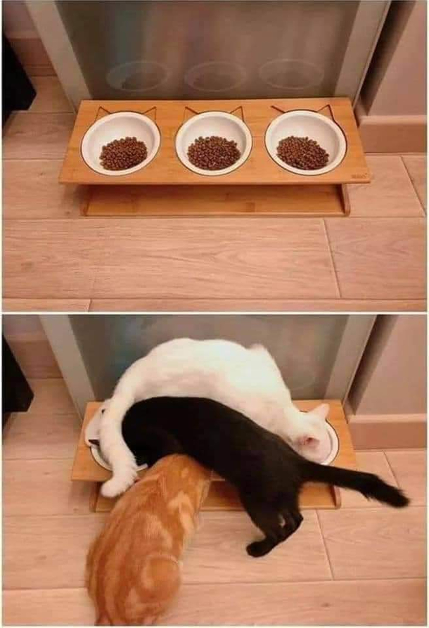 Seems about right