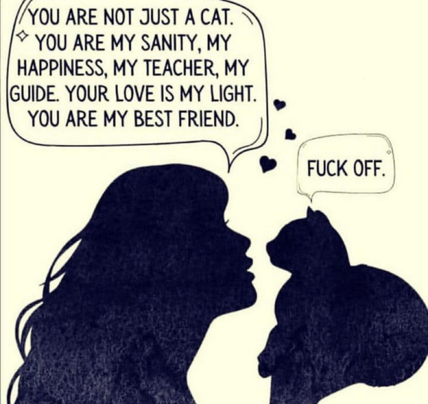 Seems about right