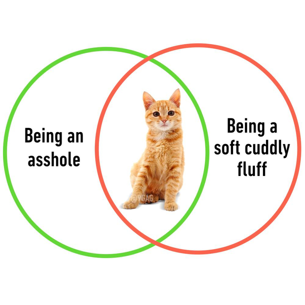 Seems accurate enough