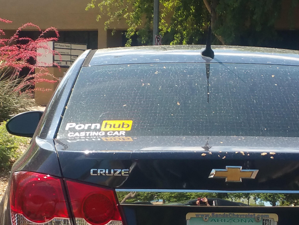Seems legit