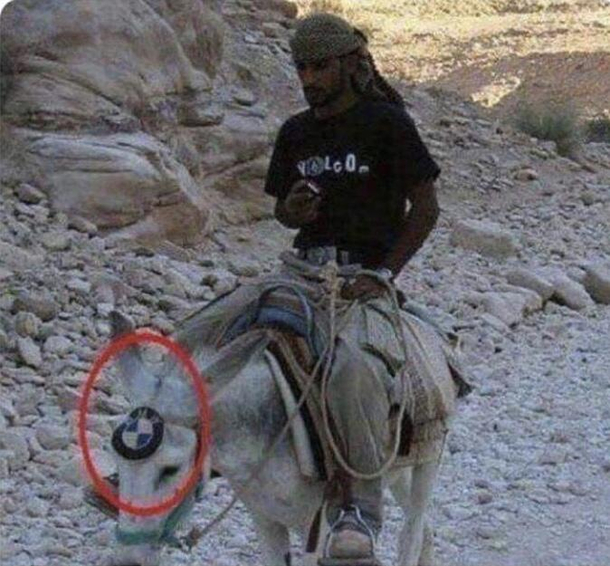 Seems legit - no indicators 