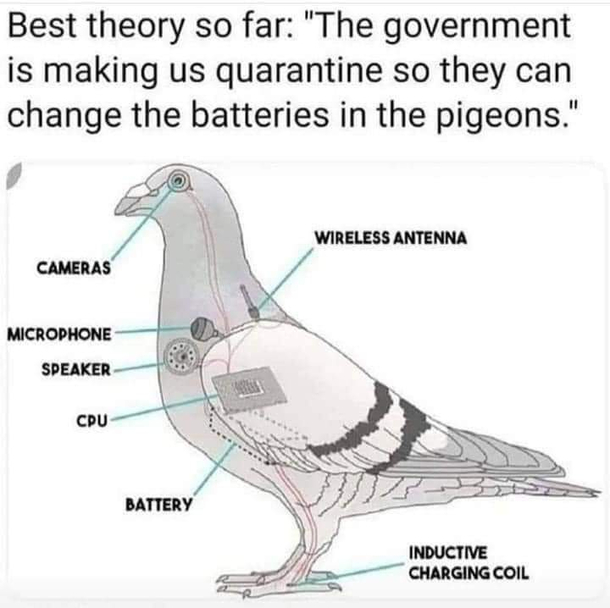 Seems plausible