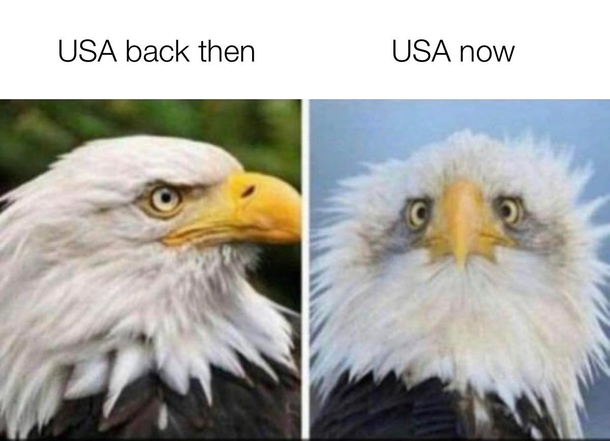 Seems to be true