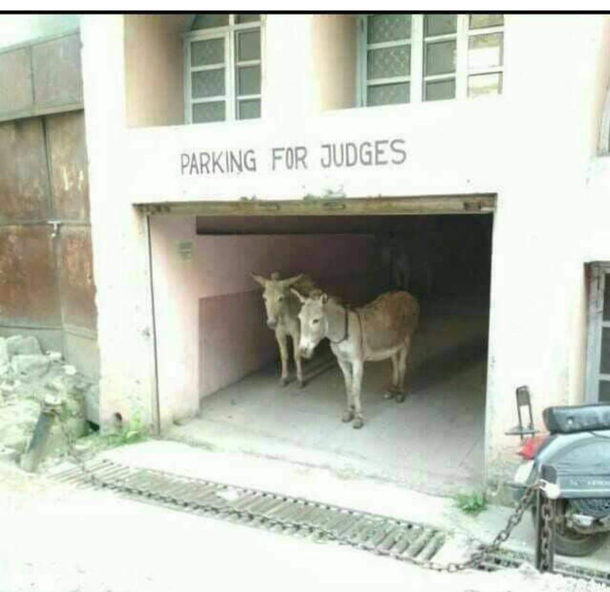 Seen in India