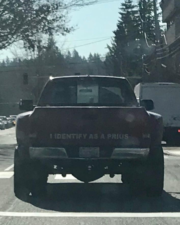 Seen in the wild