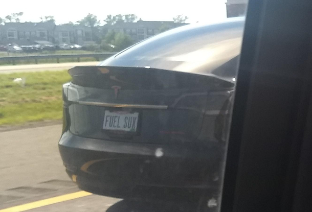 Seen in Virginia