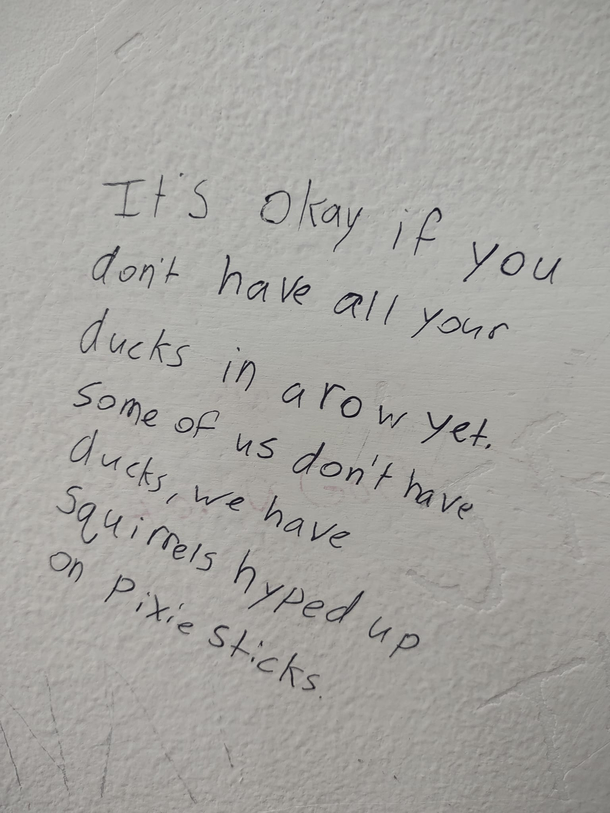 Seen on the bathroom wall