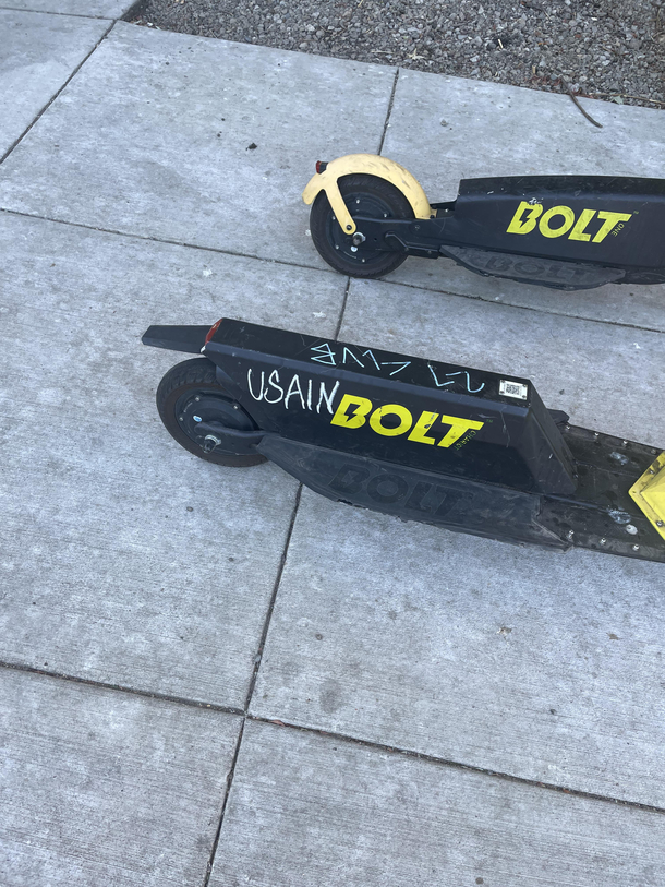 Seen on the streets of downtown Portland