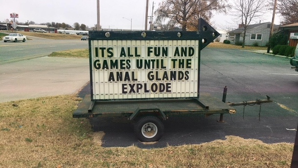 Seen this at my local Vet Clinic