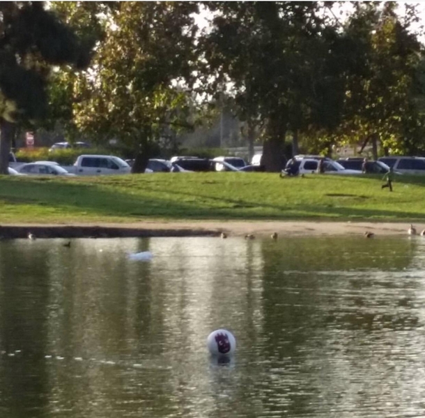 Seen this floating by while fishing
