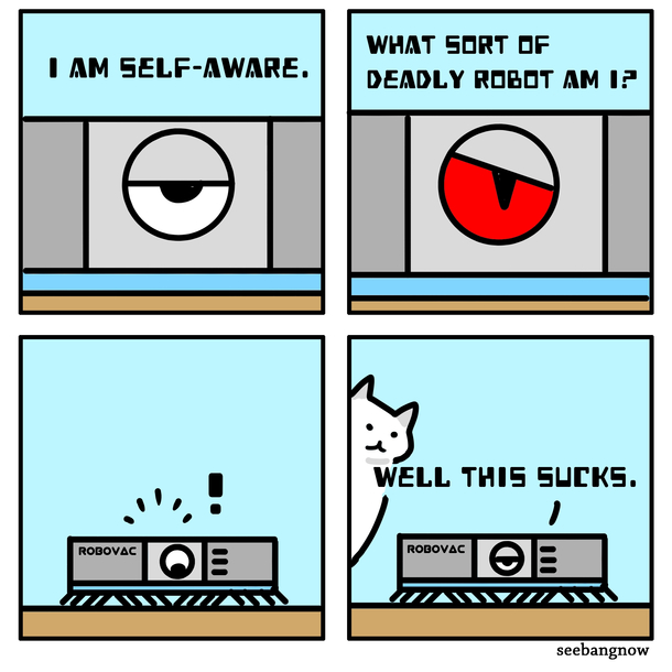 Self-aware robot problems