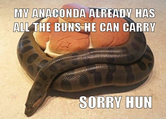 self-sufficient anaconda dont want none even if you DO have buns
