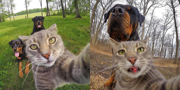 Selfie 
