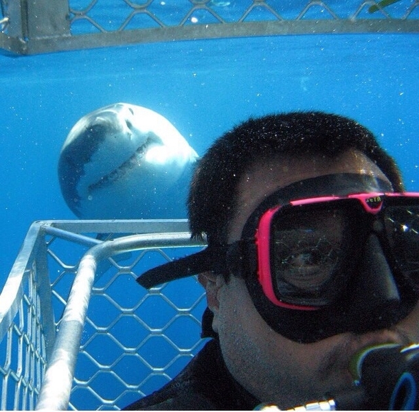 Selfie photo bomb Nailed it