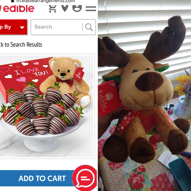 Sent my husband an Edible Arrangement that was supposed to come with a Valentines bear Instead he got an overstocked reindeer with a ribbon and foam heart hot glued to it