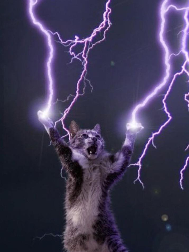 Sent this to my husband to try to explain my hormones