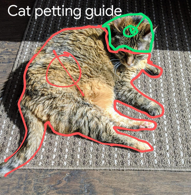 Sent this to the cat sitter Trying to avoid a lawsuit