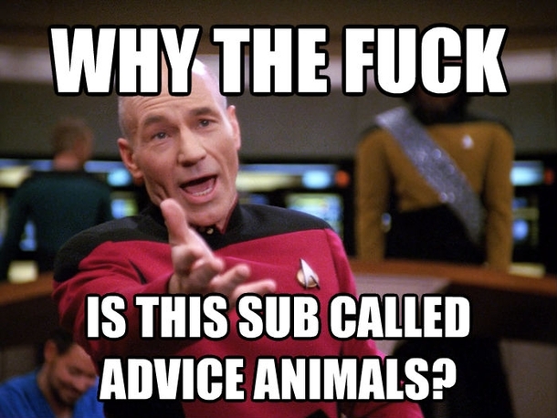 serious question