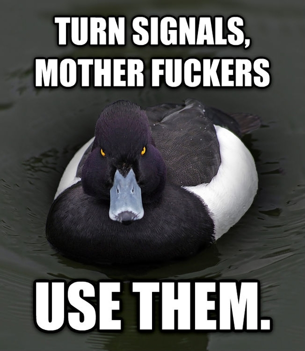 Seriously I wonder how most people have their licenses
