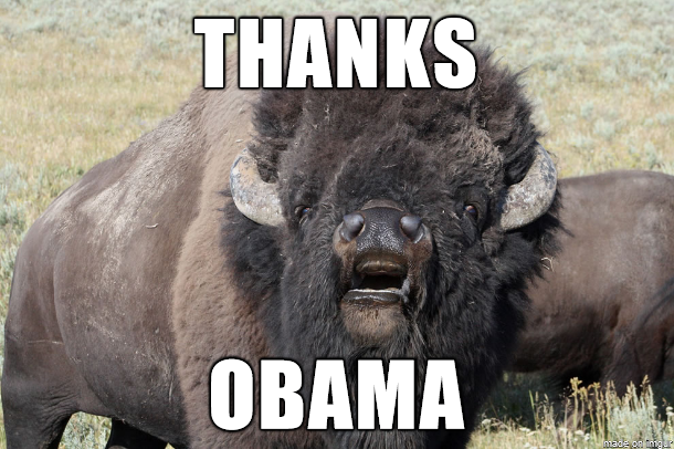 Seriously though Thanks