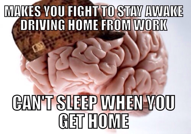 Seriously WTF Brain