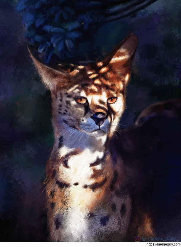 Serval painting Study