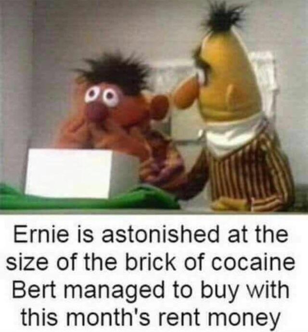 Sesame straight