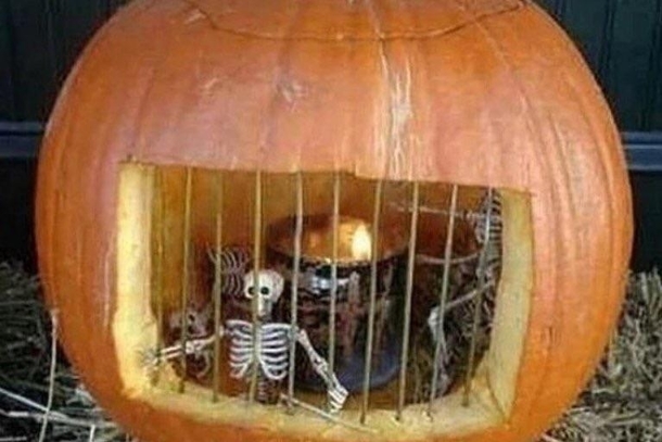 Set them free